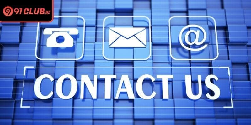 The professional support team provides detailed guidance for all members